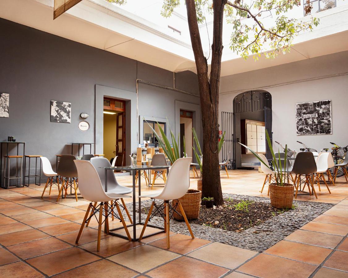 Bkl Hotel Oaxaca Exteriör bild