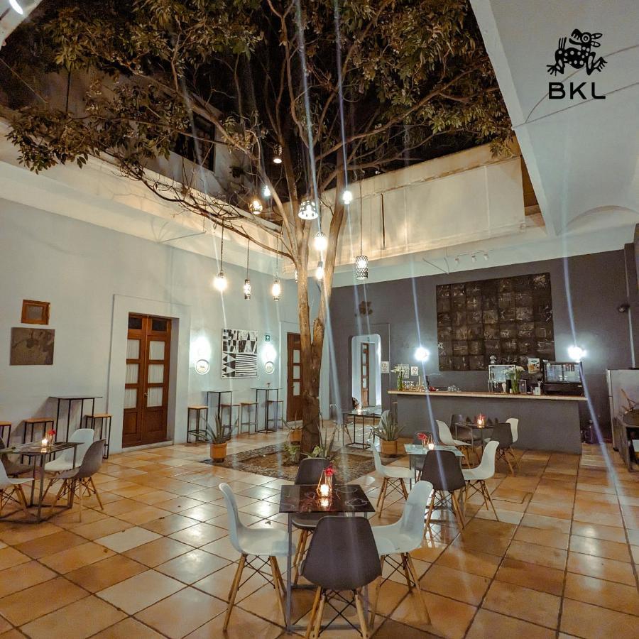 Bkl Hotel Oaxaca Exteriör bild