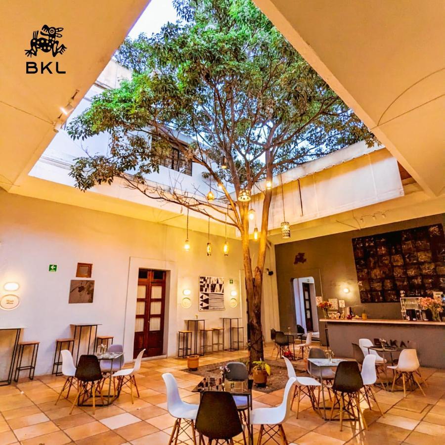 Bkl Hotel Oaxaca Exteriör bild