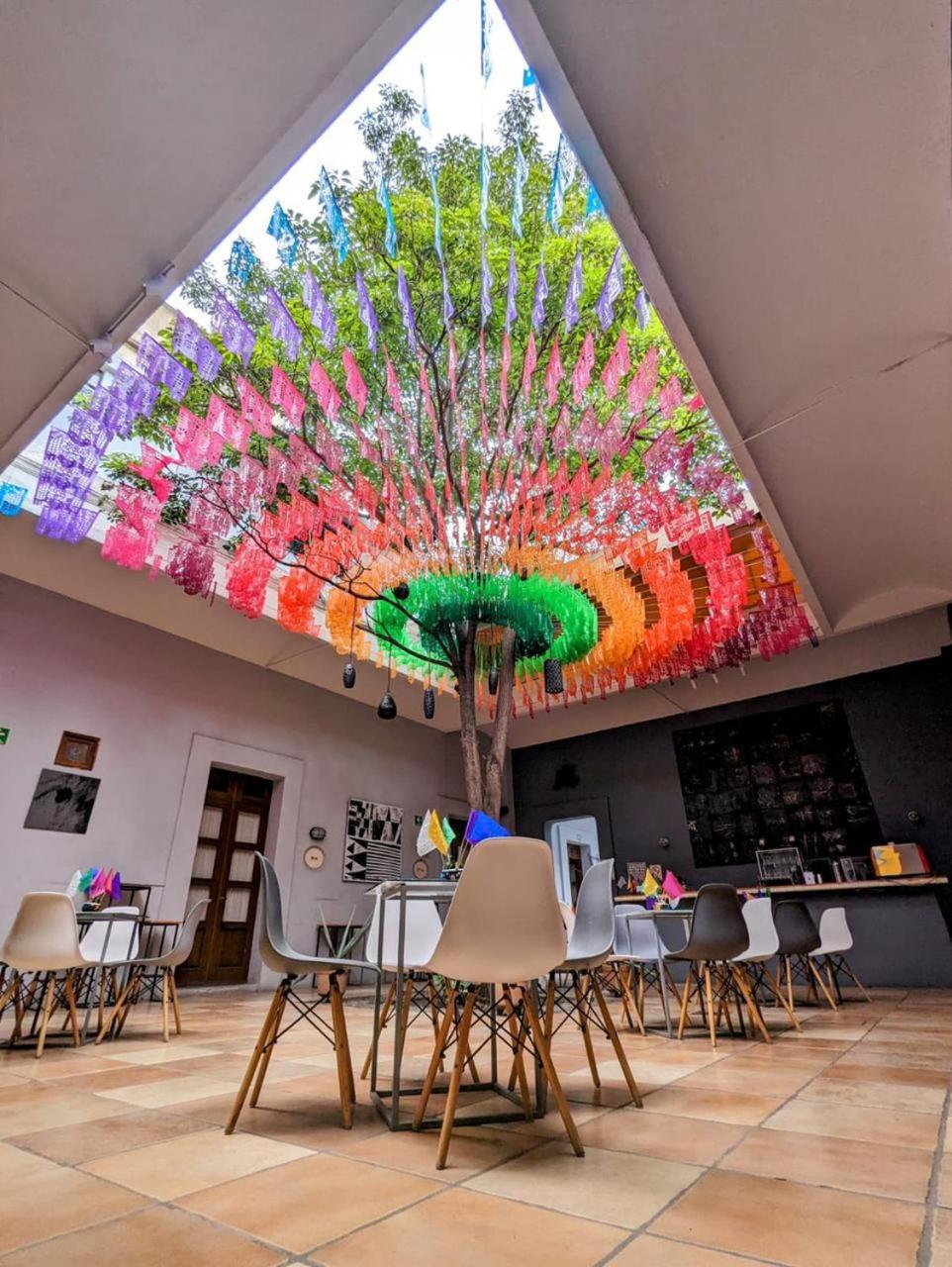 Bkl Hotel Oaxaca Exteriör bild