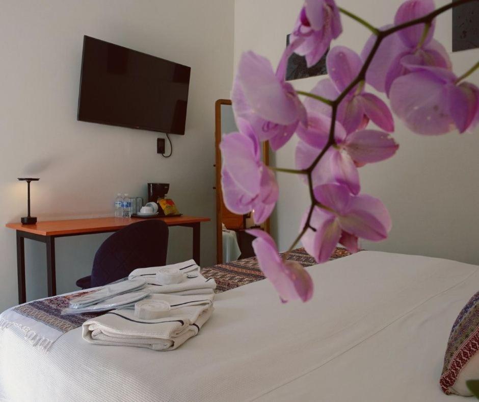Bkl Hotel Oaxaca Exteriör bild